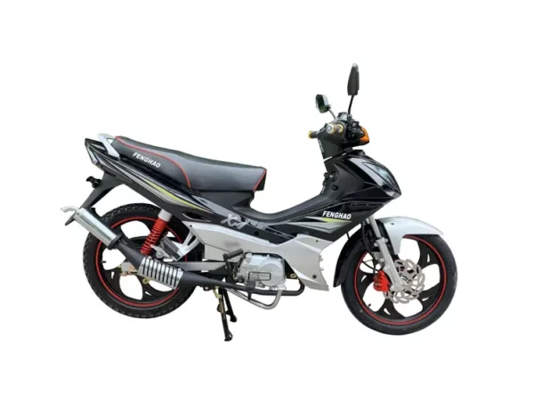 FH110-1